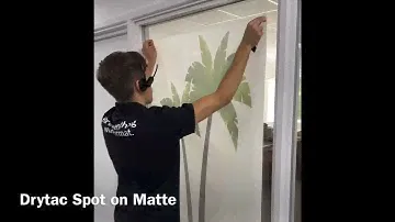 Drytac Spot On - palm tree