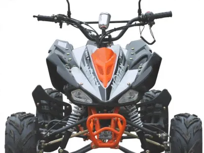 Квадроцикл Motax ATV T-Rex LUX 125 в Новосибирске-4