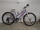 $80 · KHS T-Rex 7 Speed 24" Mountain Bike