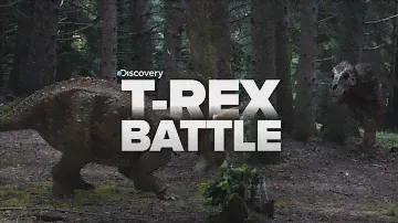 Biggest T-Rex BATTLES!