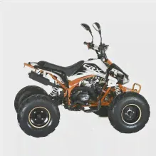 Квадроцикл MOTAX ATV T-Rex-LUX 50 сс-1