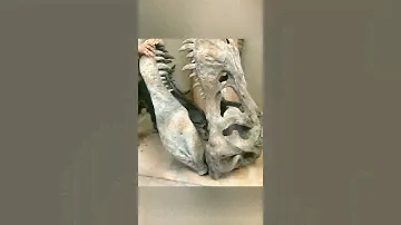 Череп Тирекса🦖•Skull of Tirex🦖