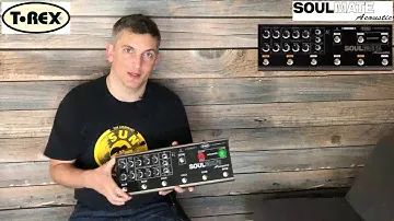 T-Rex Soulmate Acoustic Demo