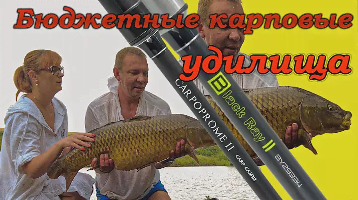 Бюджетные удилища // Рыбалка на пруду //