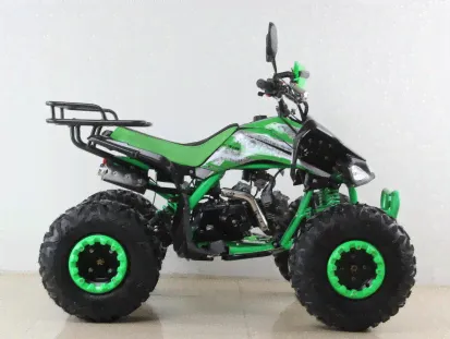 Квадроцикл Motax ATV T-Rex Super LUX 125 в Новосибирске-2