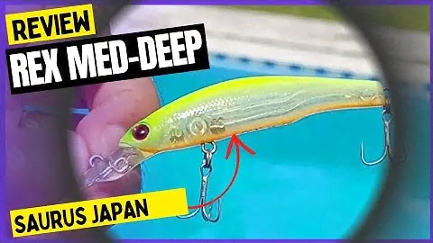 Saurus Rex Med-deep