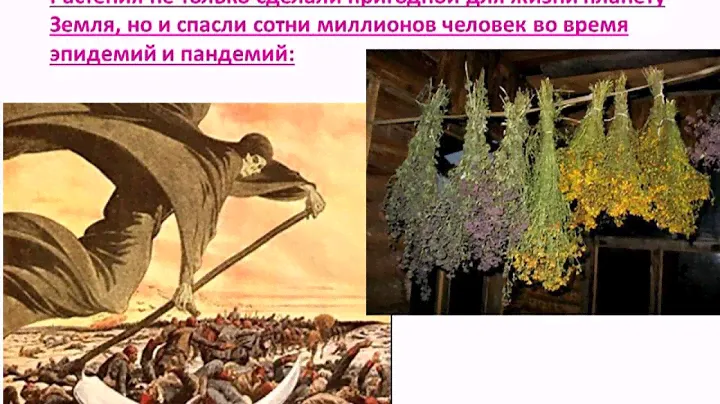 10  Швейцарские препараты для здоровья Юст Just и Morga Biorex