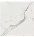 I Classici Di Rex Statuario Glossy 80x80