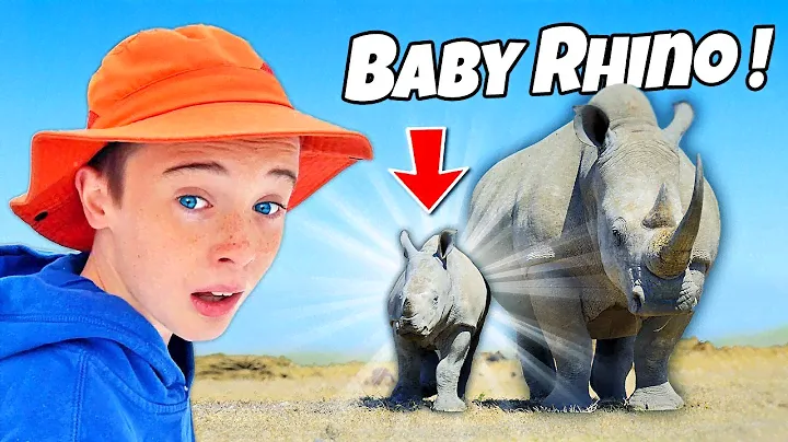 KIDS on SAFARI see BABY Rhino! Wild animal adventure in Africa!