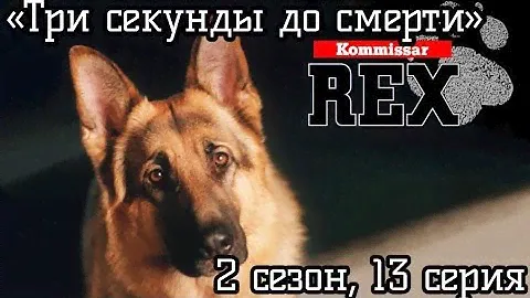 Комиссар Рекс, 2 сезон, 13 серия «Три секунды до смерти»