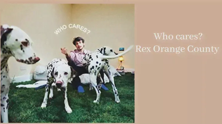 Who Cares? Rex Orange County unboxing CD