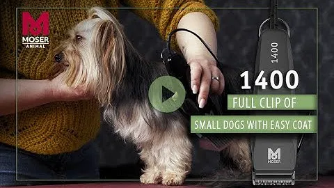 MOSER 1400 - How to groom your dog | Moser Animal